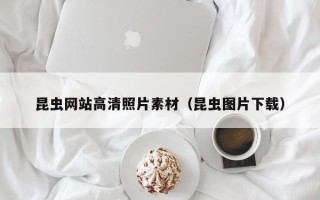 郑州昆虫网站高清照片素材（昆虫图片下载）